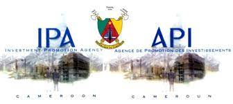 partner SAFVIS : IPA